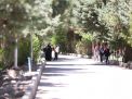 گزارش تصویری اردوی کارکنان دانشگاه 